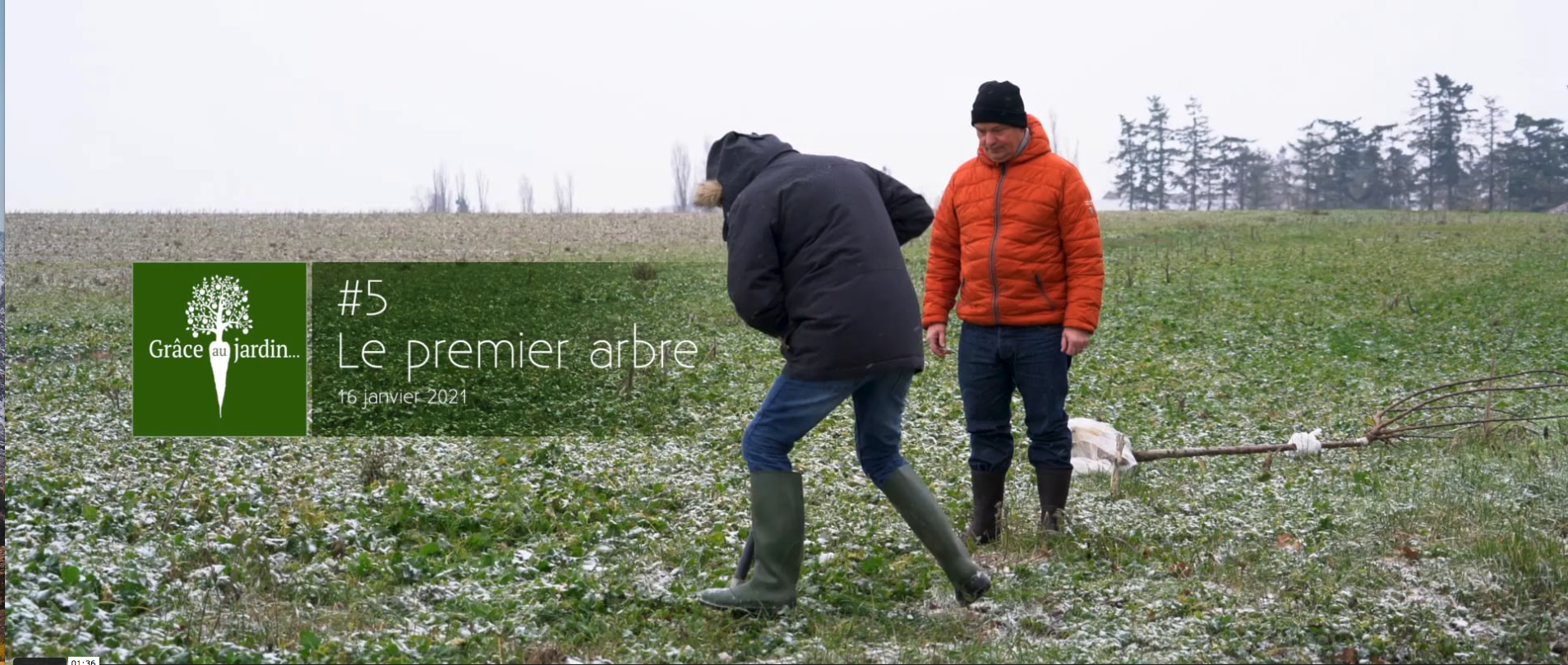 Plantation du premier arbre