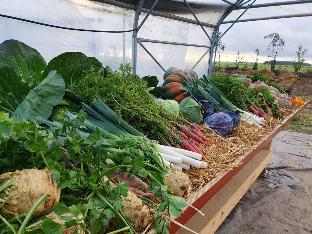 Vente légumes