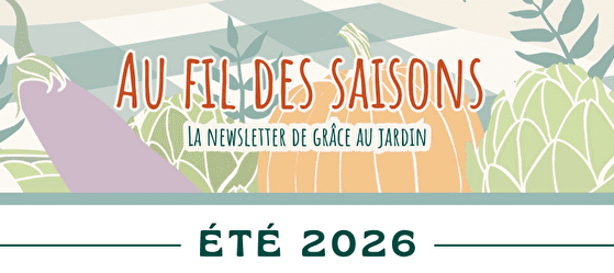 Newsletter été 2026